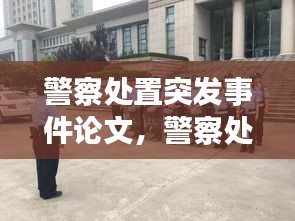 警察处置突发事件论文,警察处置案事件典型案例