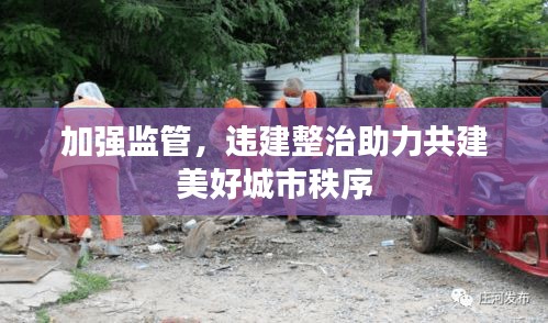 加强监管，违建整治助力共建美好城市秩序