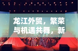 龙江外贸，繁荣与机遇共舞，新闻头条抢先看