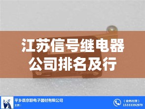 江苏信号继电器公司排名及行业影响力揭秘，探寻领先企业的奥秘！