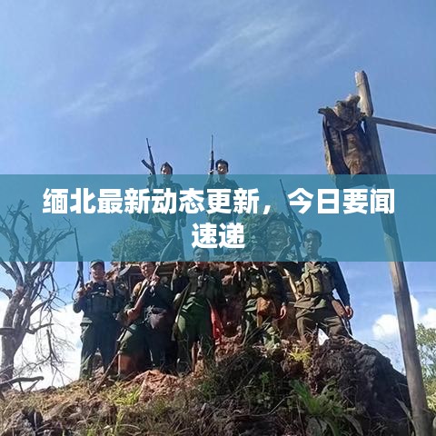 鸷鸟不群 第2页
