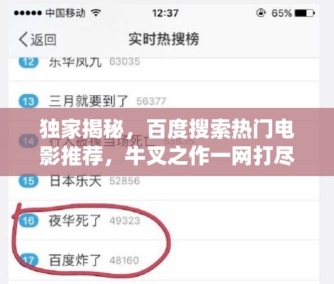 功成名就 第3页