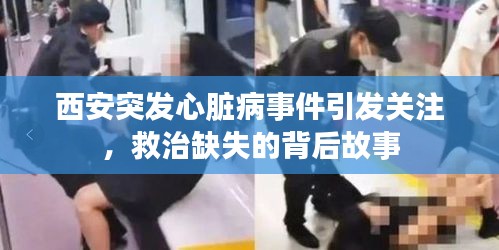 轻飞曼舞 第2页