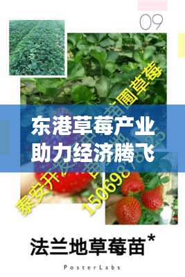 只争朝夕 第3页