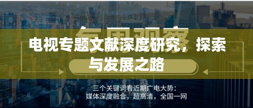 电视专题文献深度研究，探索与发展之路