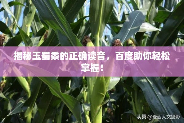雅量高致 第2页