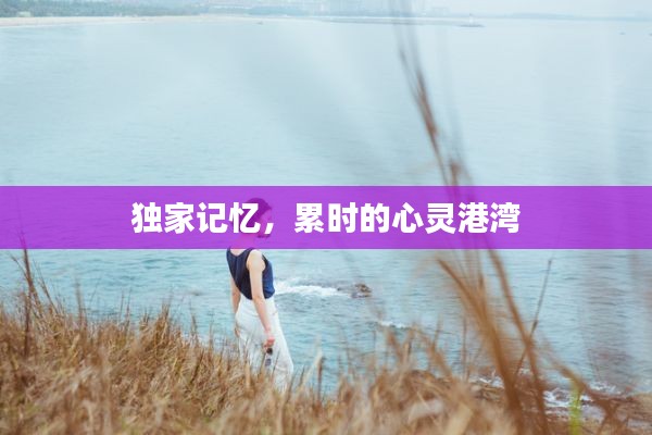 文贵天成 第2页