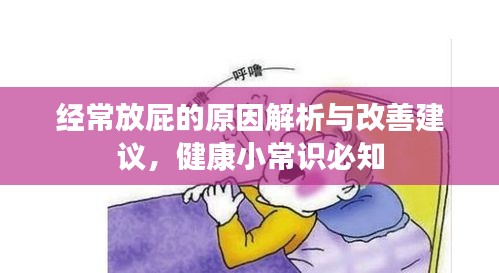 经常放屁的原因解析与改善建议,健康小常识必知