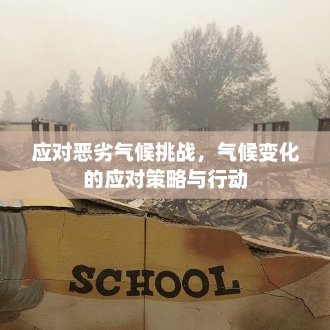 雍容典雅 第2页