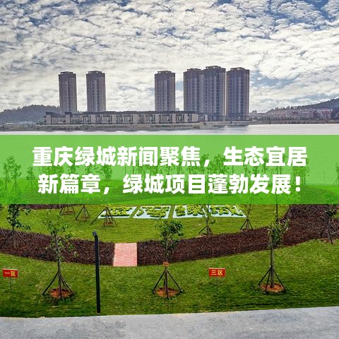 鸟革翬飞 第2页