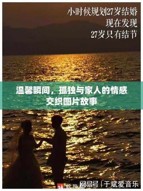 不飞则已 第3页