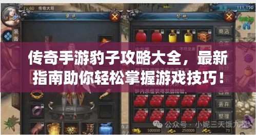 传奇手游豹子攻略大全，最新指南助你轻松掌握游戏技巧！