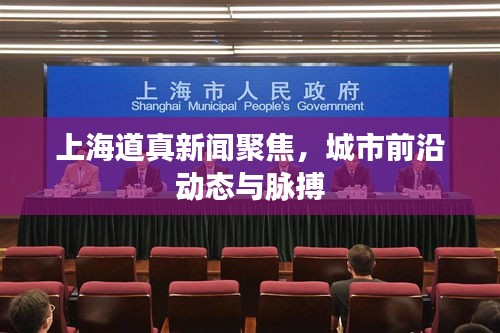 上海道真新闻聚焦，城市前沿动态与脉搏