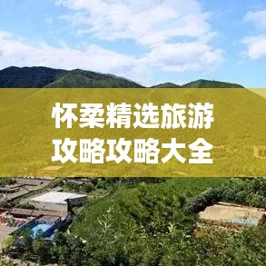 惊弓之鸟 第2页