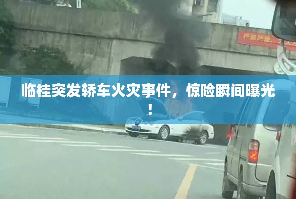 贵农贱商 第2页