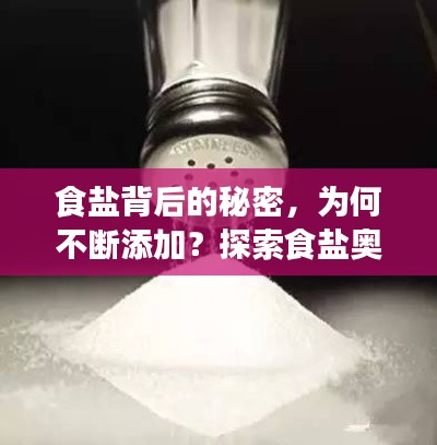 箪瓢陋室 第2页