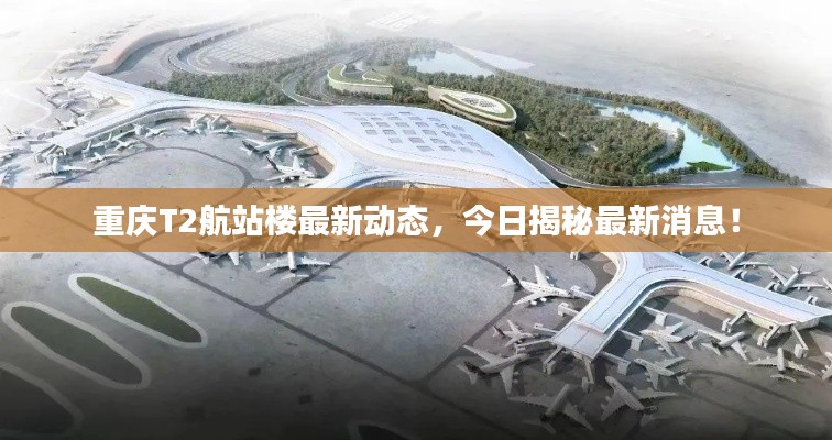 改弦易张 第2页