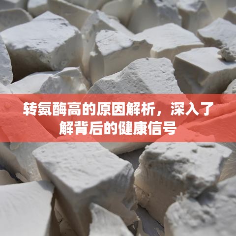 澹泊明志，宁静致远 第2页