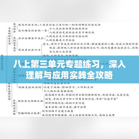 八上第三单元专题练习，深入理解与应用实践全攻略