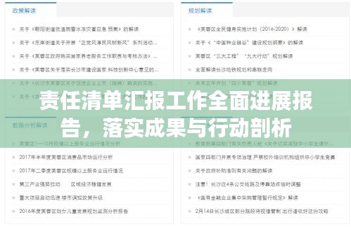 责任清单汇报工作全面进展报告，落实成果与行动剖析