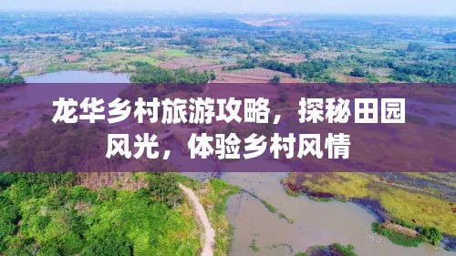 怀真抱素 第2页
