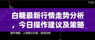 龙飞凤舞 第2页