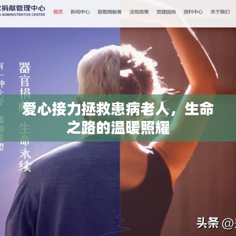 寒蝉僵鸟 第2页