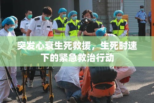 肝胆相照 第2页