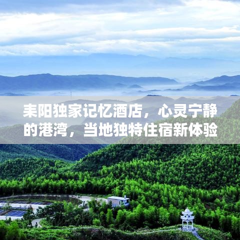 司空见惯 第2页