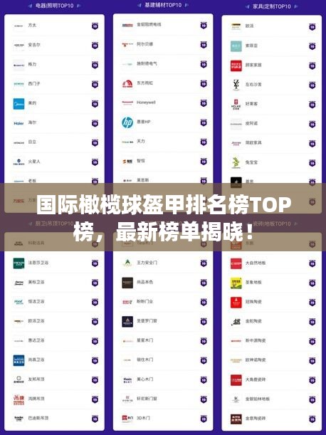 国际橄榄球盔甲排名榜TOP榜，最新榜单揭晓！