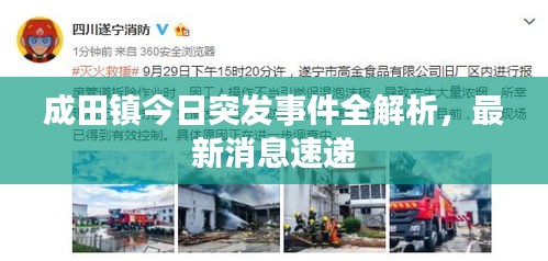 成田镇今日突发事件全解析，最新消息速递