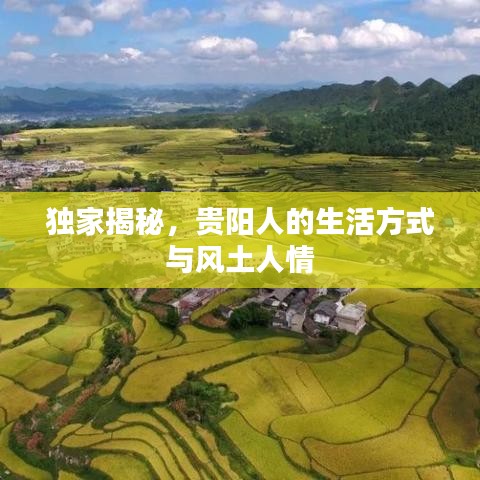 蝇声蛙噪 第2页