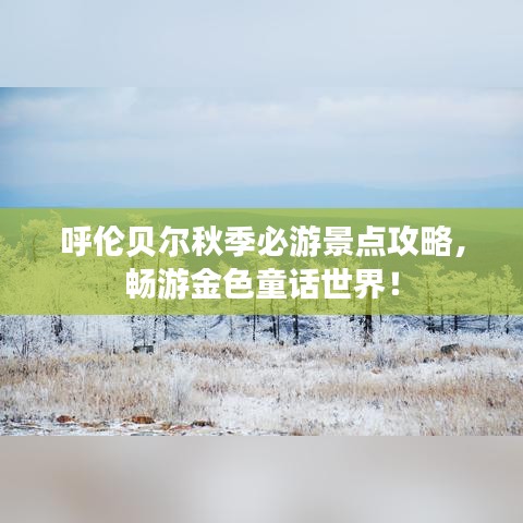 呼伦贝尔秋季必游景点攻略，畅游金色童话世界！