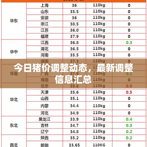 今日猪价调整动态，最新调整信息汇总