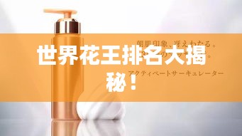 栖冲业简 第2页