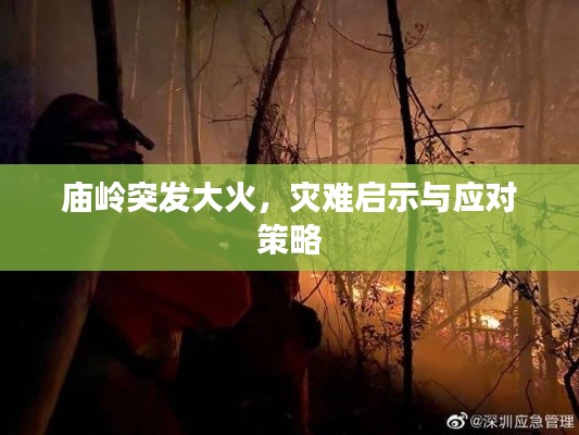 腾龙换鸟 第2页