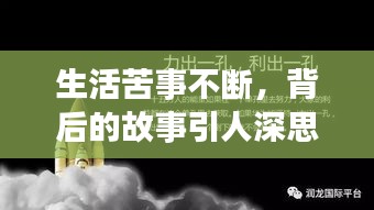 鸟语花香 第2页