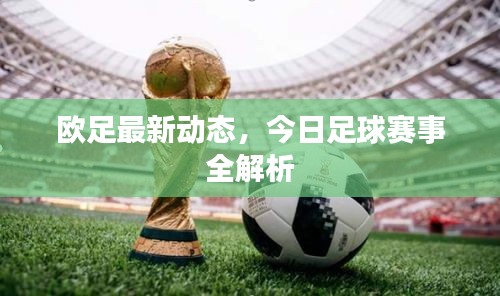欧足最新动态，今日足球赛事全解析