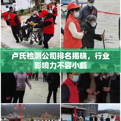 百鸟归巢 第2页