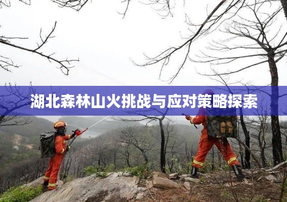 读书三到 第2页