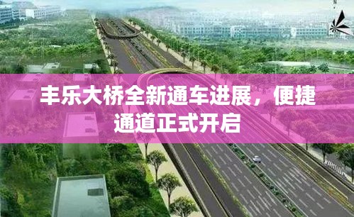 丰乐大桥全新通车进展，便捷通道正式开启