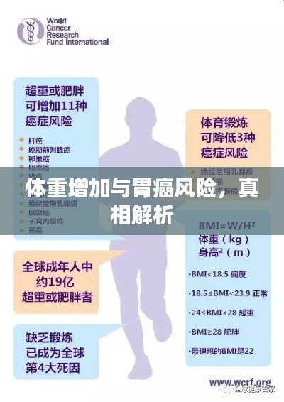 十全十美 第2页