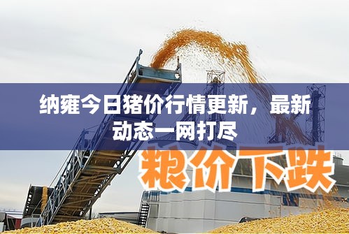 走马章台 第2页
