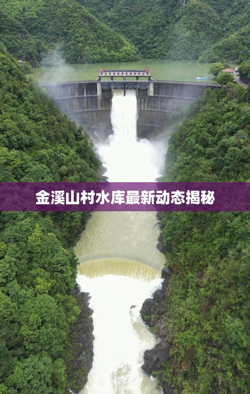 一心一意 第2页