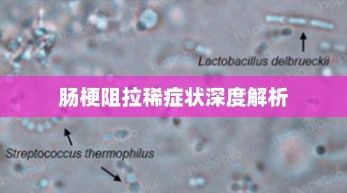 肠梗阻拉稀症状深度解析