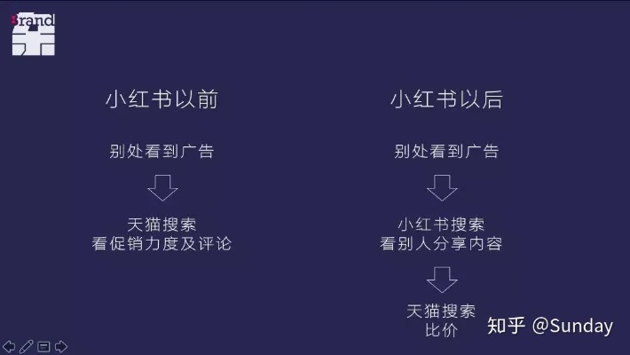 小红书历史版本,权威分析解释定义_入门版_v2.352