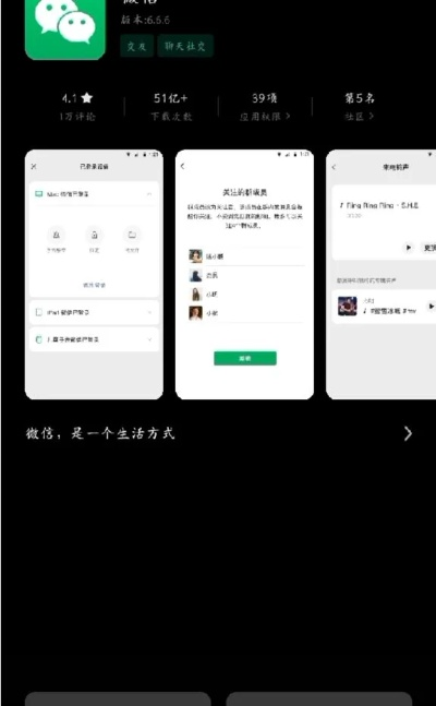 如鸟兽散