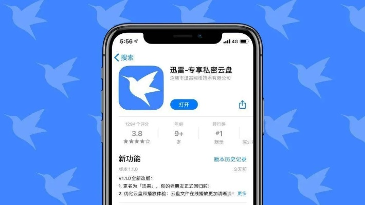 迅雷手机版本,统计解答解释定义 Pixel_v1.490