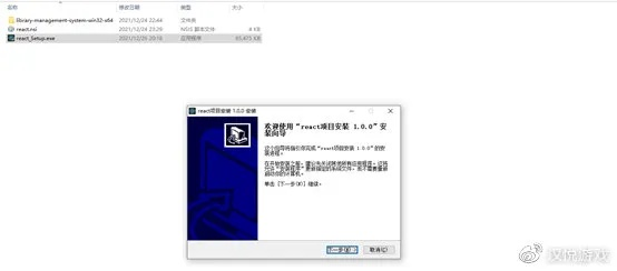 安全第一，如何安全下载和安装红警那个版本有中国，快速计划解答设计_KP_v10.133软件
