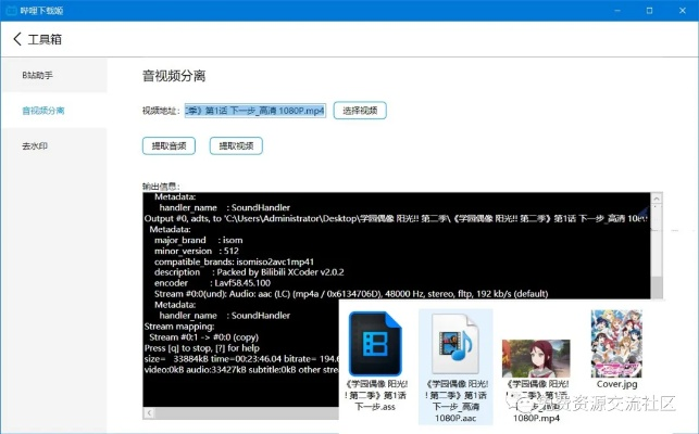 BizConfVideo官方下载与灭绝师太激活码,全面实施分析数据_复刻款_v3.736